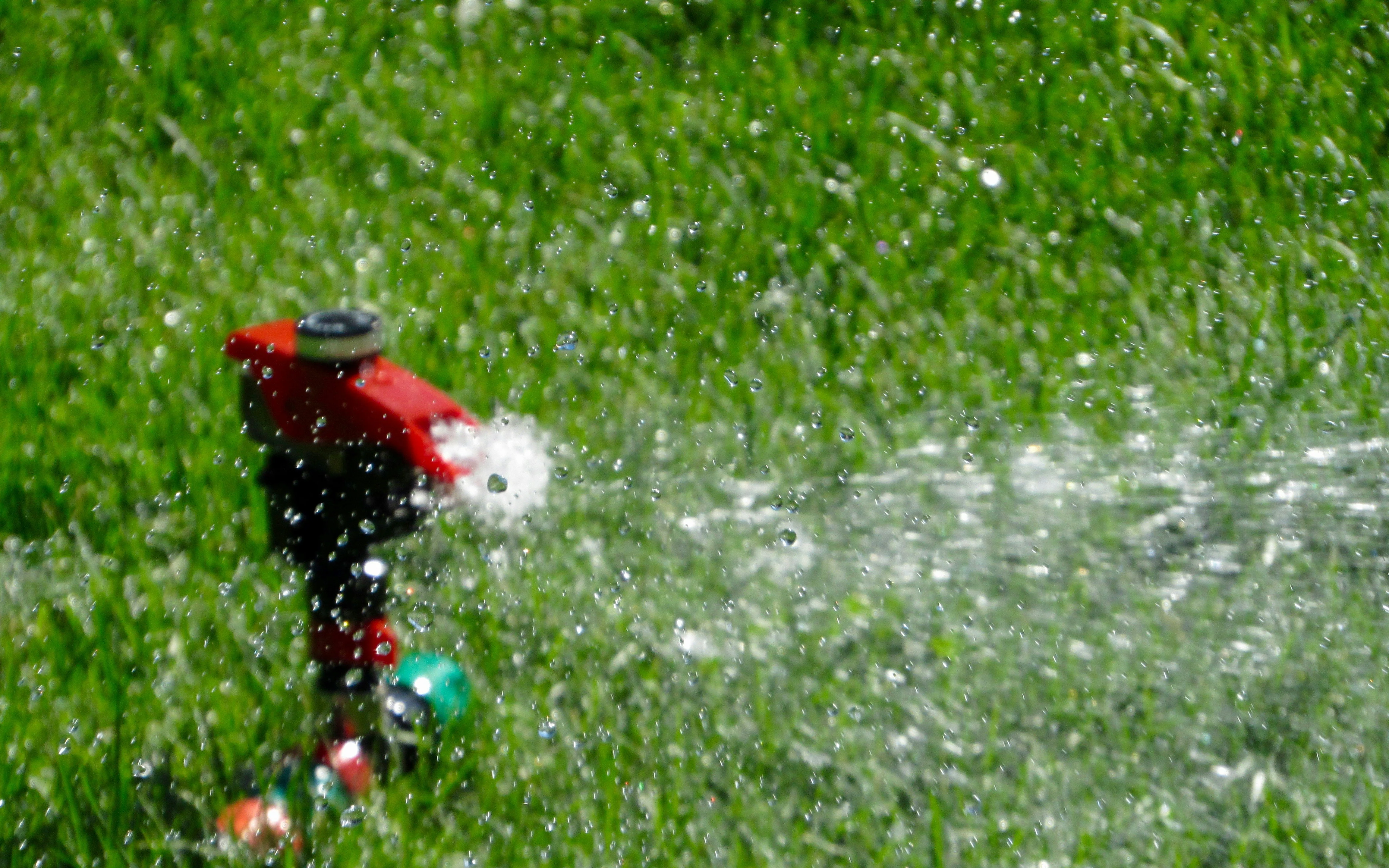 Sprenkler auf einer Rasenfläche zur gleichmäßigen Bewässerung im Garten
